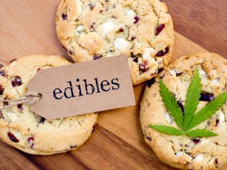 The Cannabis Kitchen The Cannabis Kitchen